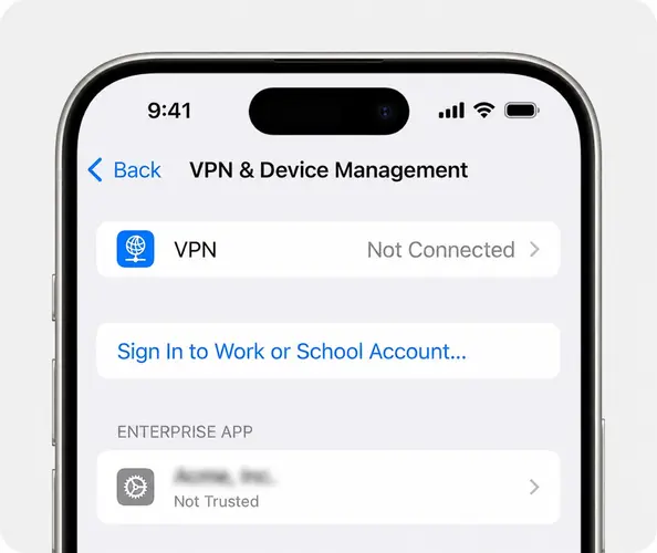 VPN & Device Management screen with the distributor name blurred